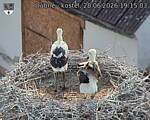 Capi_Dubne_20260628_191503.jpg
