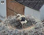 Capi_Dubne_20260628_193002.jpg