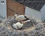 Capi_Dubne_20260628_193503.jpg