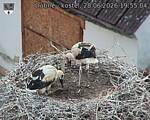 Capi_Dubne_20260628_195504.jpg
