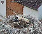 Capi_Dubne_20260628_201004.jpg