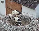 Capi_Dubne_20260628_203003.jpg