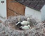 Capi_Dubne_20260628_205504.jpg
