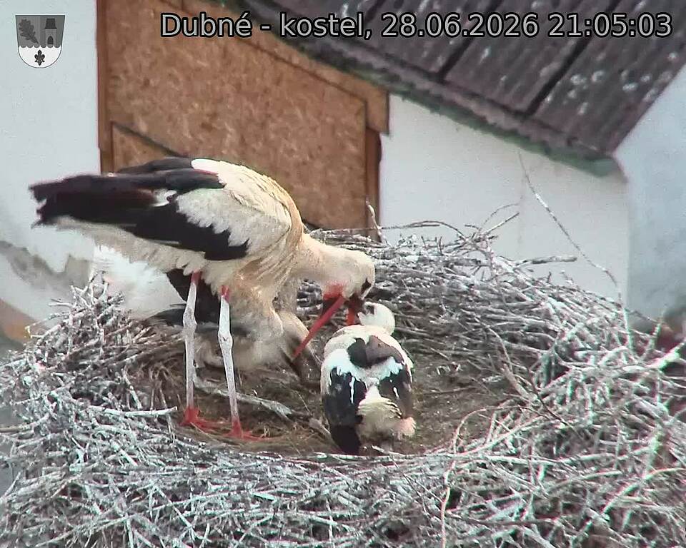 preload