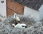 Capi_Dubne_20260628_211502.jpg