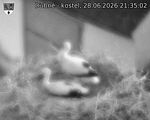 Capi_Dubne_20260628_213502.jpg