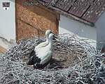 Capi_Dubne_20260629_130503.jpg