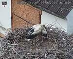 Capi_Dubne_20260629_161004.jpg