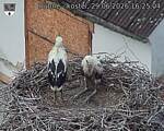 Capi_Dubne_20260629_162504.jpg