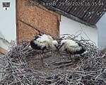 Capi_Dubne_20260629_163504.jpg