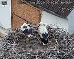 Capi_Dubne_20260629_164004.jpg