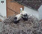 Capi_Dubne_20260629_170004.jpg