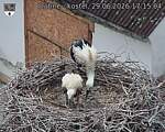 Capi_Dubne_20260629_171504.jpg