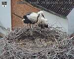Capi_Dubne_20260629_173504.jpg