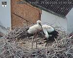 Capi_Dubne_20260629_174004.jpg