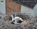 Capi_Dubne_20260629_181004.jpg