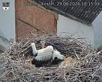 Capi_Dubne_20260629_181504.jpg