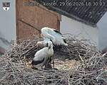 Capi_Dubne_20260629_183003.jpg