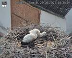 Capi_Dubne_20260629_183504.jpg