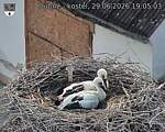 Capi_Dubne_20260629_190503.jpg