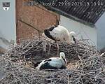 Capi_Dubne_20260629_191004.jpg