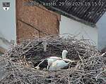 Capi_Dubne_20260629_191502.jpg