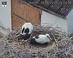 Capi_Dubne_20260629_192004.jpg