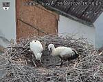 Capi_Dubne_20260629_195003.jpg