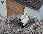 Capi_Dubne_20260629_200004.jpg