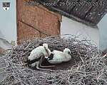 Capi_Dubne_20260629_202002.jpg