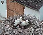 Capi_Dubne_20260629_203002.jpg
