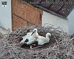 Capi_Dubne_20260629_203504.jpg
