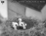 Capi_Dubne_20260629_214002.jpg
