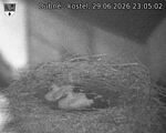 Capi_Dubne_20260629_230502.jpg