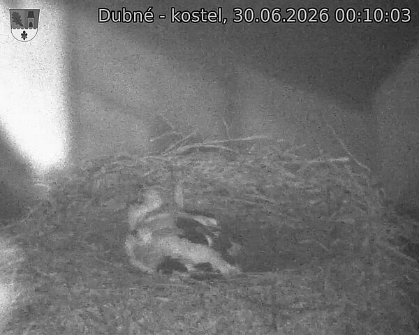 preload