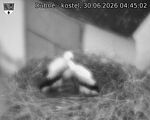 Capi_Dubne_20260630_044502.jpg
