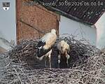 Capi_Dubne_20260630_060004.jpg