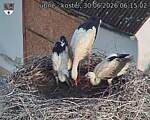 Capi_Dubne_20260630_061503.jpg