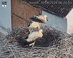Capi_Dubne_20260630_062003.jpg