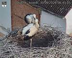 Capi_Dubne_20260630_064505.jpg