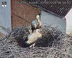 Capi_Dubne_20260630_065003.jpg