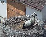 Capi_Dubne_20260630_140003.jpg