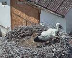 Capi_Dubne_20260630_141005.jpg