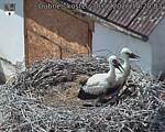 Capi_Dubne_20260630_142003.jpg
