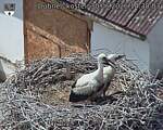Capi_Dubne_20260630_143003.jpg