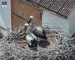Capi_Dubne_20260630_153003.jpg