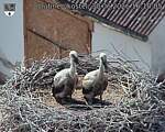 Capi_Dubne_20260630_161005.jpg