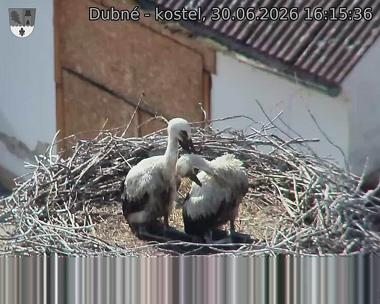 preload