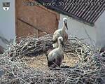 Capi_Dubne_20260630_170507.jpg