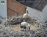 Capi_Dubne_20260630_171503.jpg